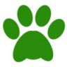 PAW