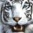TigerService